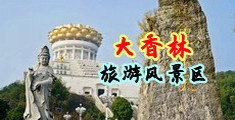嗯嗯啊啊啊啊大鸡巴插逼逼里面视频中国浙江-绍兴大香林旅游风景区
